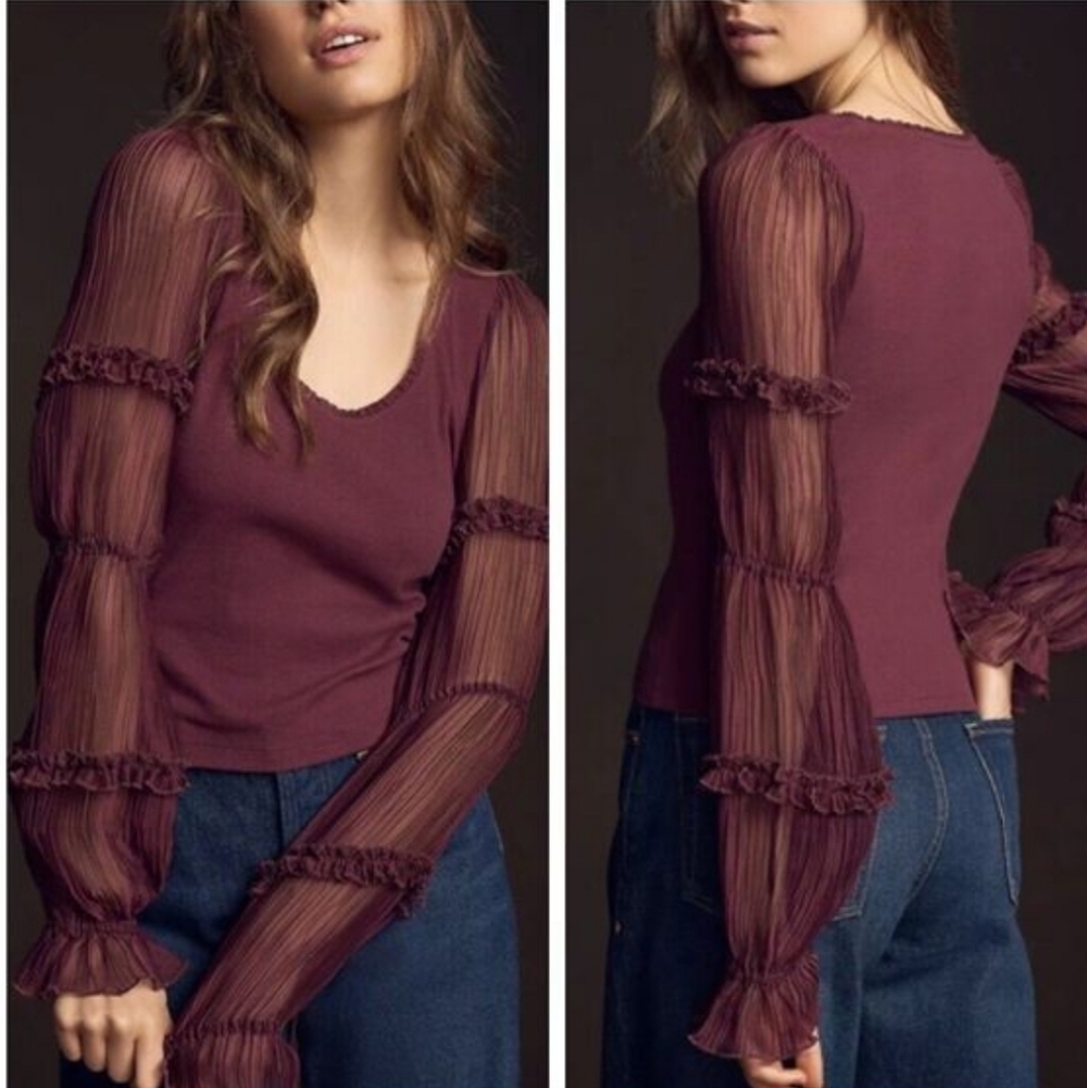 Anthropologie Victorian Ruffled Long Sleeve Womens Burgundy Sheer Romantic Top